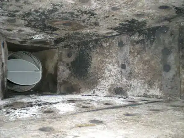 Interior of an air duct with heavy black mold growth on the walls, showing need for professional mold removal.