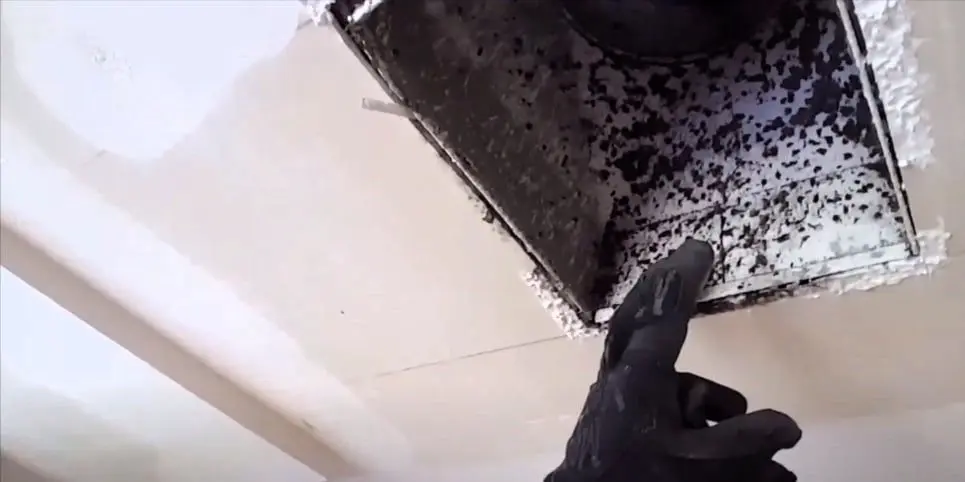mold grows in dark, warm, and moist conditions, feeding on dust and debris in your ventilation system