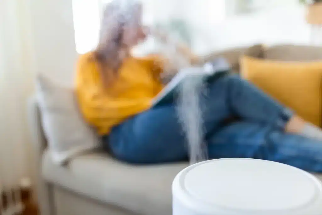 indoor air quality purifier