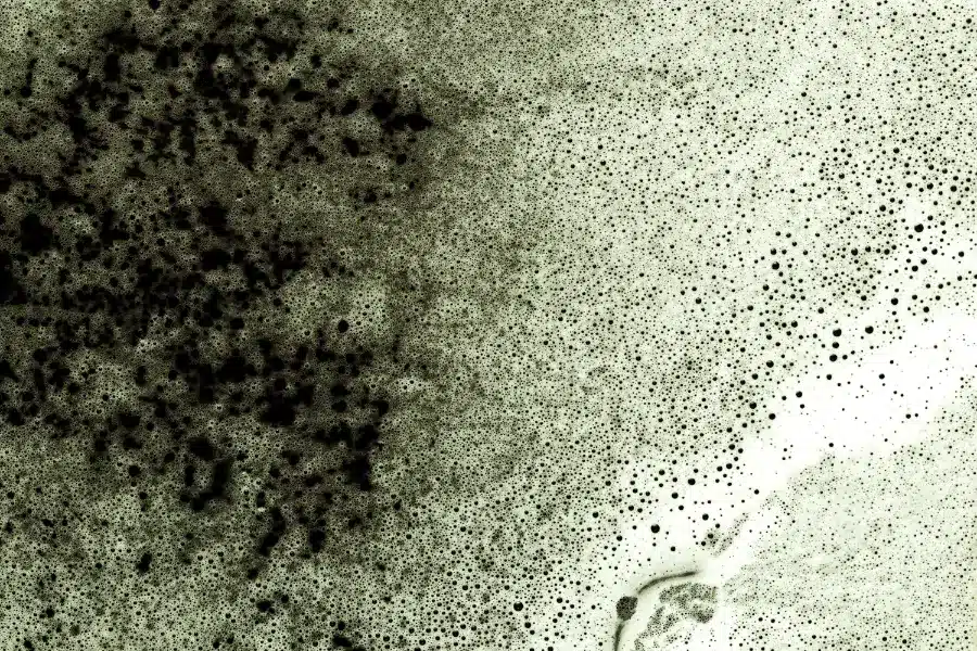 black mold in air ducts
