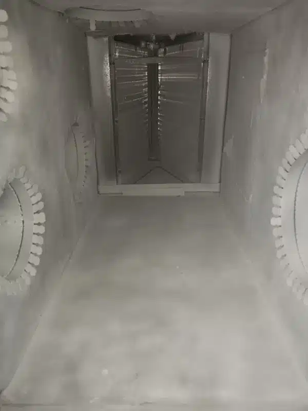 mold in air ducts tips kissimmee